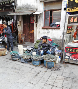 shutterstock_120038485 suzhou crab seller shantangjie jiangsu